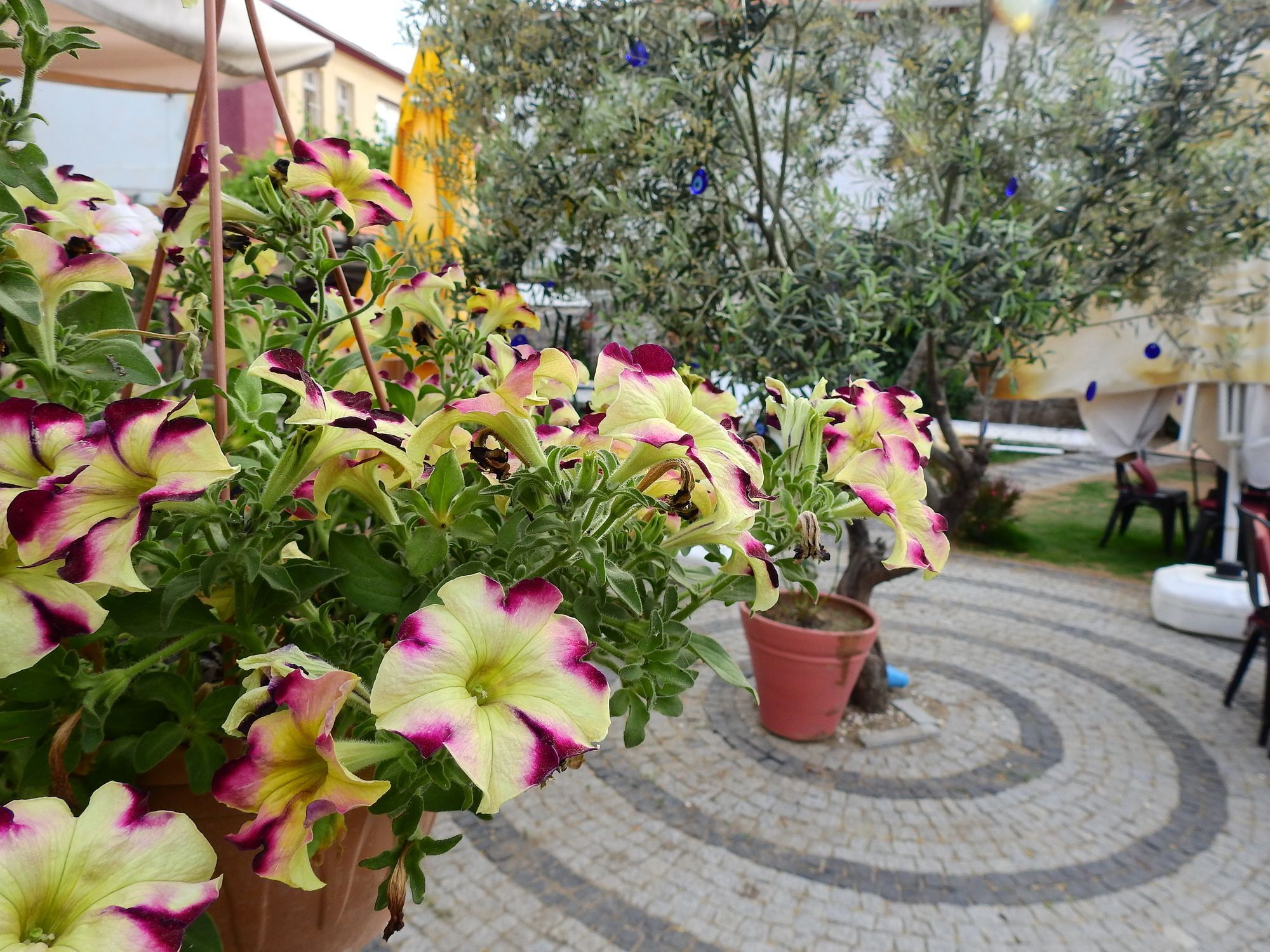 Eden Selene Hotel Ayvalik Exterior photo